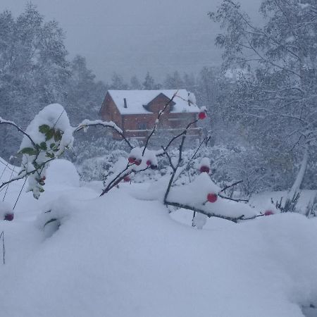 Chalet Bois Au Milieu Des Pyrenees LʼHospitalet-près-lʼAndorre Eksteriør bilde